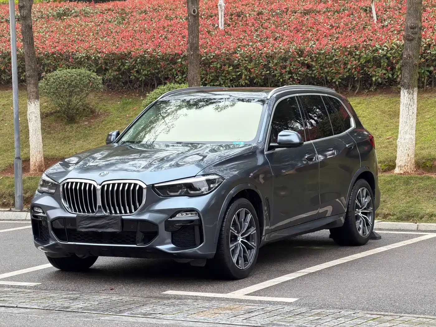 BMW X5 (Import) 2020 xDrive30i M Sport Package