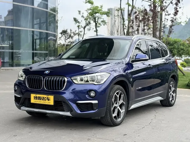 BMW X1 New Energy 2018 xDrive25Le Luxury Model
