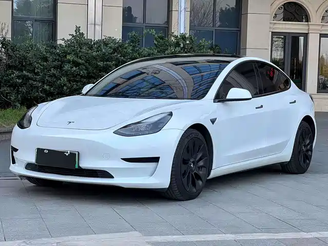 Tesla Model 3 2021 Standard Range Rear-Wheel Drive Upgrade