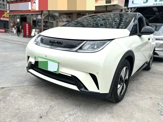 BYD Dolphin 2023 420km Freedom Edition