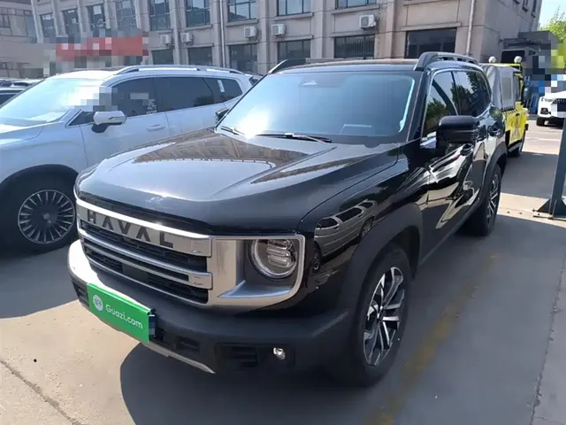 Haval Big Dog 2024 1.5T DCT Border Collie Edition