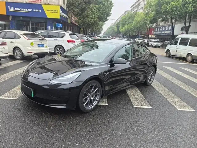 Tesla Model 3 2022 Model Rear-Wheel Drive Version