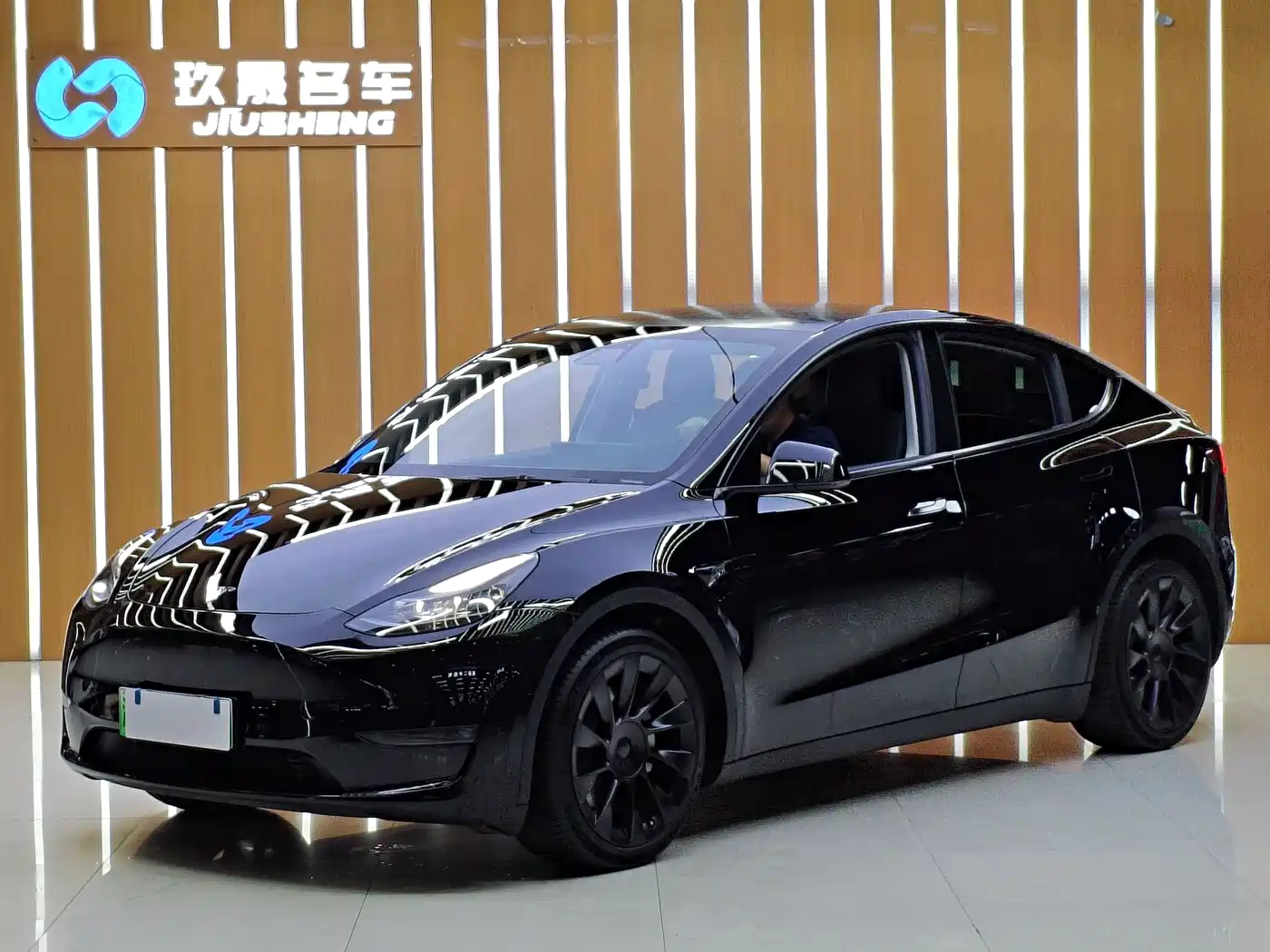 Tesla Model Y 2021 Standard Range Rear-Wheel Drive