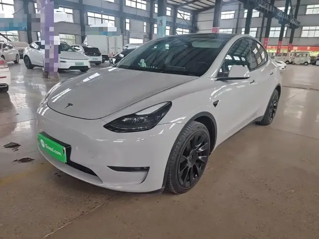 Tesla Model Y 2021 Standard Range Rear-Wheel Drive