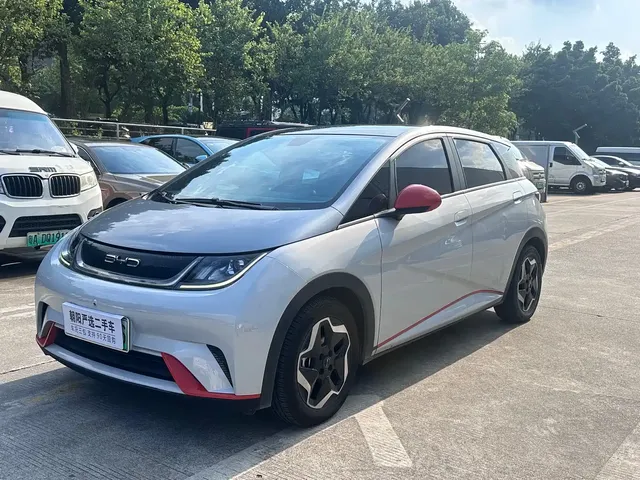 BYD Dolphin 2021 401km Knight Edition