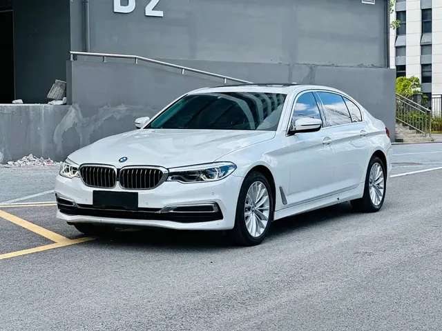 BMW 5 Series 2020 530Li Premium Luxury Package