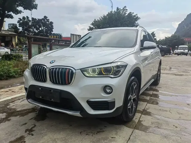 BMW X1 2019 xDrive20Li Premium Model