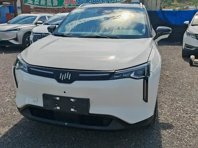 Weltmeister W6 2021 520km NEX Explorer Edition
