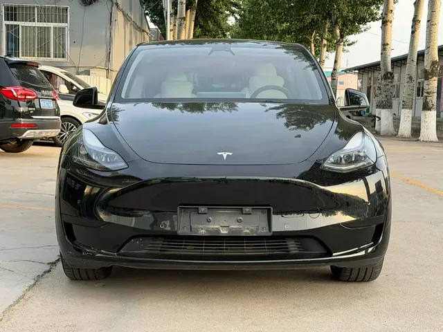 Tesla Model Y 2022 Rear-Wheel Drive Version
