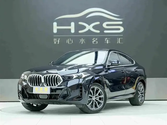 BMW X6 2023 xDrive30i M Sport Package