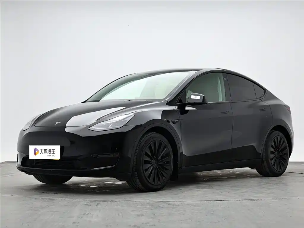 Tesla Model Y 2021 Long Range All-Wheel Drive 3D7