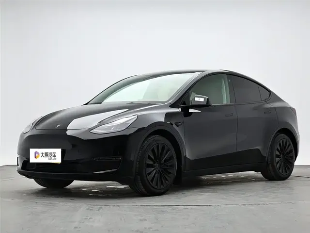 Tesla Model Y 2021 Long Range All-Wheel Drive 3D7