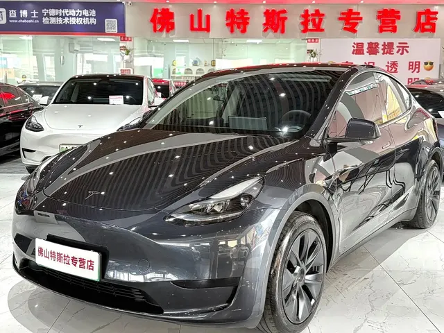 Tesla Model Y 2024 Rear-Wheel Drive Version