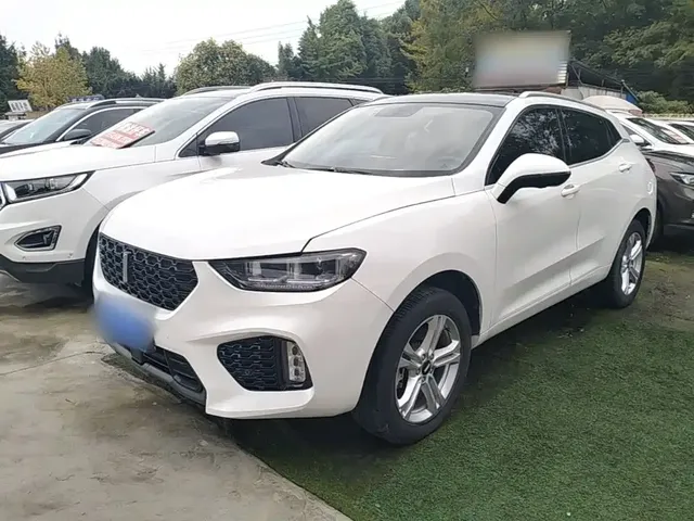 WEY VV5 2019 1.5T 2WD Smart Pioneer