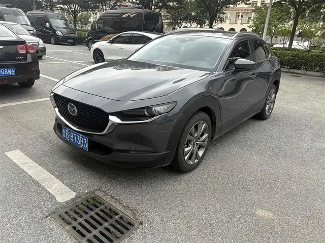 Mazda CX-30 2021 2.0L Auto Premium Joy Type