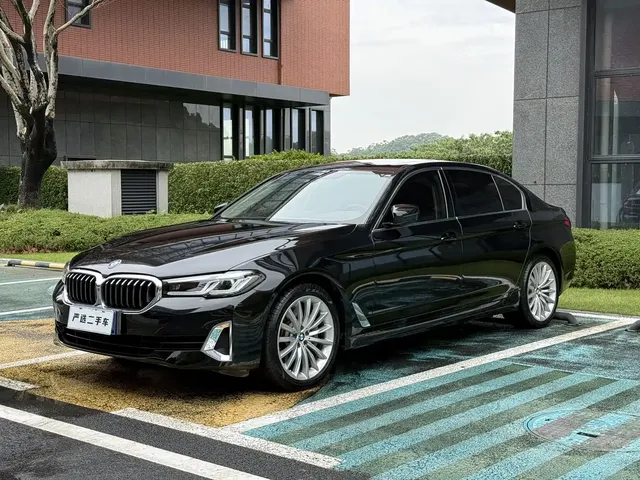 BMW 5 Series 2021 530Li Premium Luxury Package