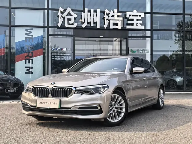 BMW 5 Series New Energy 2020 530Le Range Upgrade Luxury Package