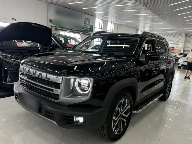 Haval Big Dog 2024 1.5T DCT Border Collie Edition