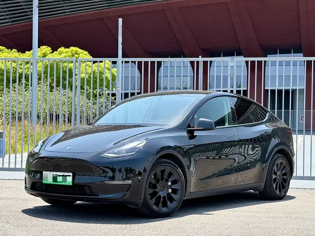 Tesla Model Y 2021 Long Range All-Wheel Drive 3D7