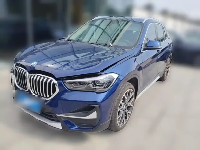 BMW X1 2020 xDrive25Li Premium Edition
