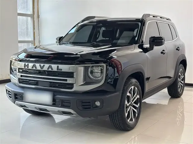 Haval Big Dog 2024 1.5T DCT Border Collie Edition