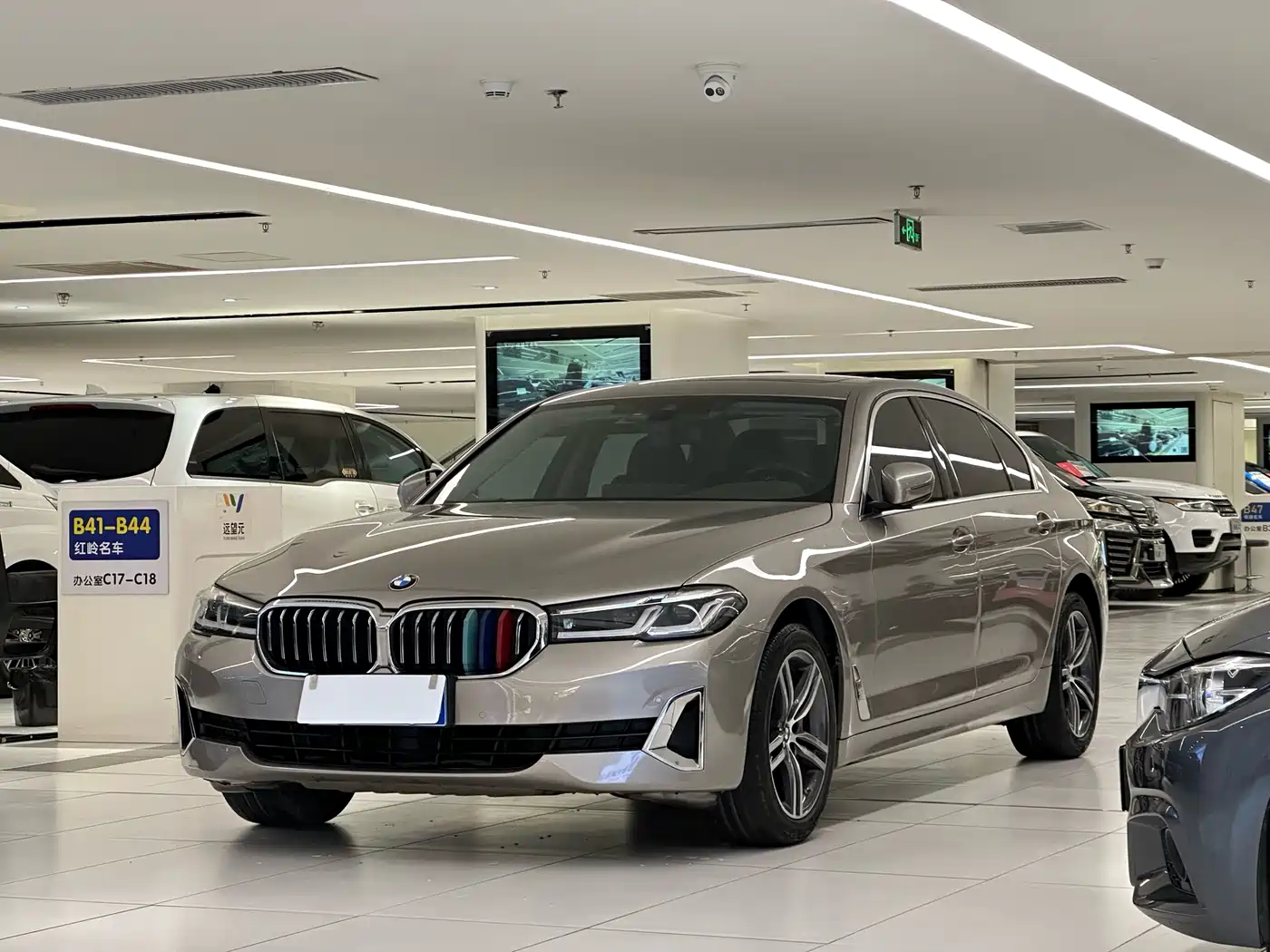 BMW 5 Series 2021 530Li Leading Luxury Package