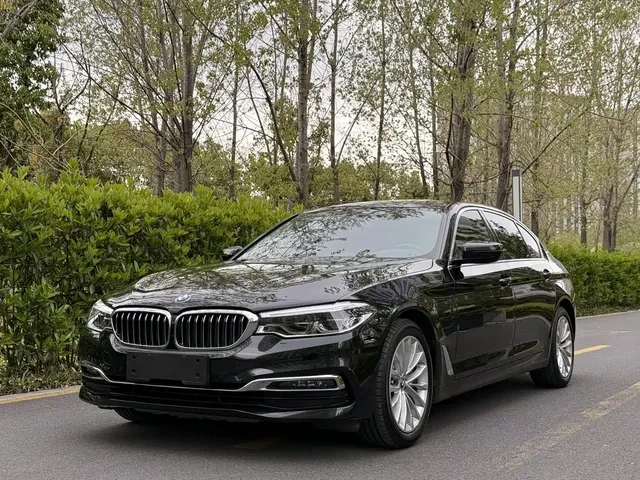 BMW 5 Series New Energy 2019 530Le Luxury Package