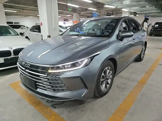 BYD Destroyer 05 2024 Glory Edition DM-i 55KM Luxury