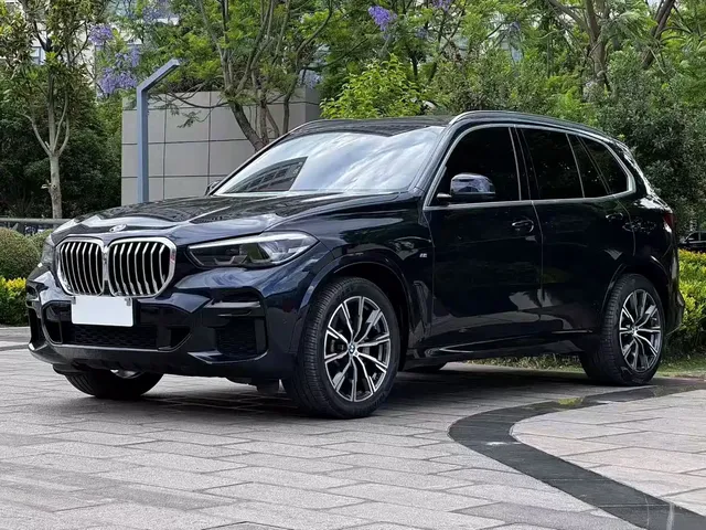BMW X5 (Import) 2021 xDrive30i M Sport Package