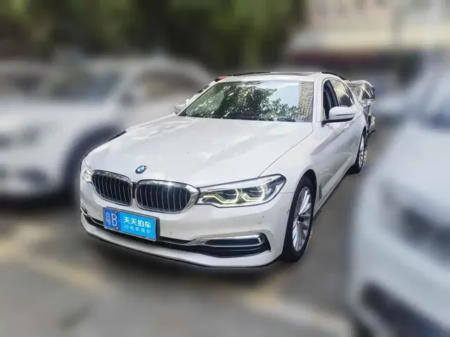 BMW 5 Series 2020 530Li Leading Luxury Package