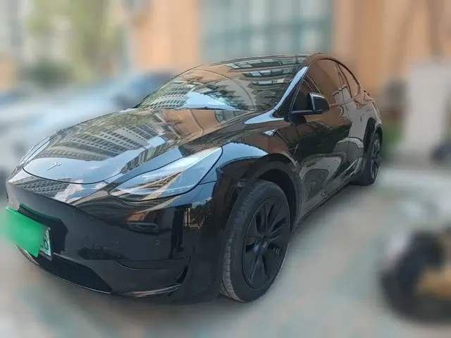 Tesla Model Y 2023 Rear-Wheel Drive Edition