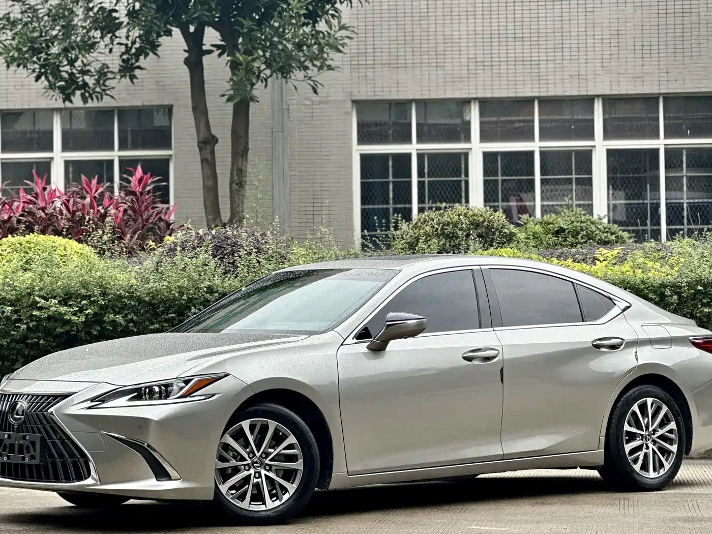 Lexus ES 2021 200 Excellence Edition