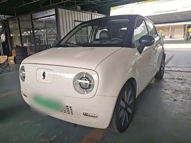 Ora Black Cat 2021 351km Luxury Model