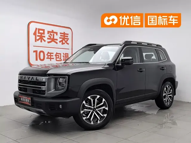 Haval Big Dog 2024 1.5T DCT Border Collie Edition