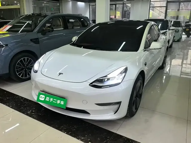 Tesla Model 3 (Import) 2019 Long Range RWD Version