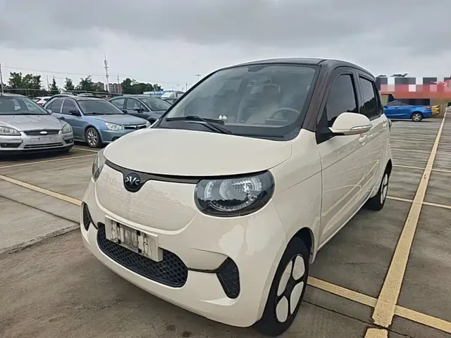 Xiaohu EV 2022 FOR-Four Good Tiger NCM
