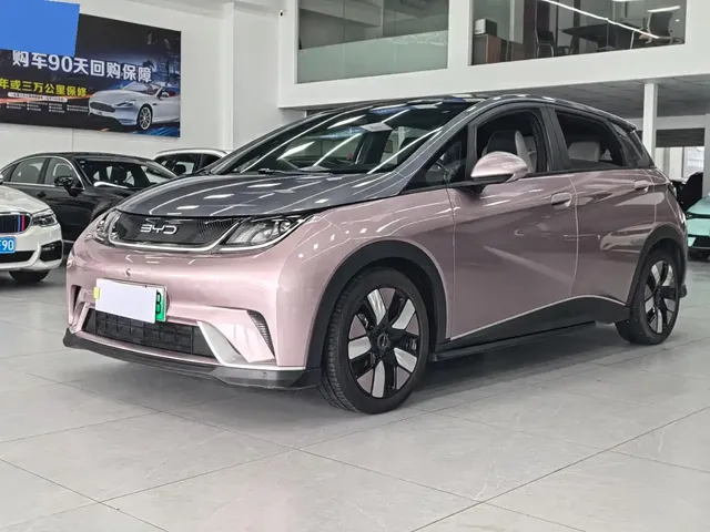 BYD Dolphin 2021 401km Knight Edition