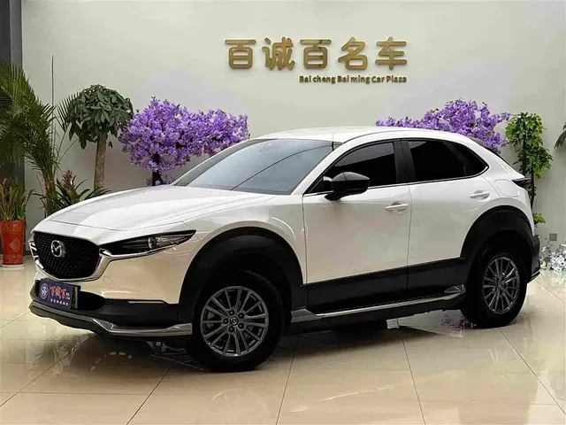 Mazda CX-30 EV 2021 Pure Electric Enjoyment Edition