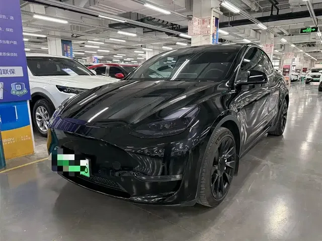 Tesla Model Y 2021 Standard Range Rear-Wheel Drive