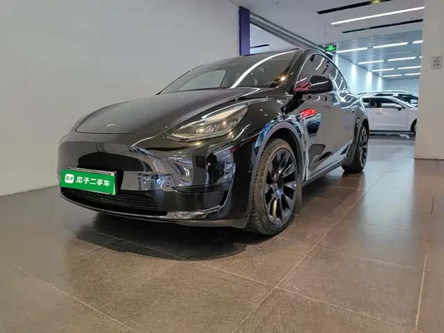 Tesla Model Y 2022 Rear-Wheel Drive Version