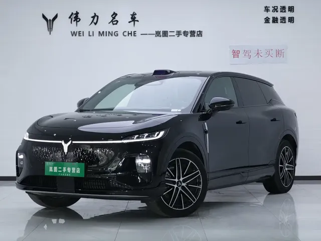 Voyah Auto Voyah Zhiyin 2025 Base