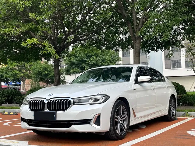 BMW 5 Series 2021 530Li Leading Luxury Package