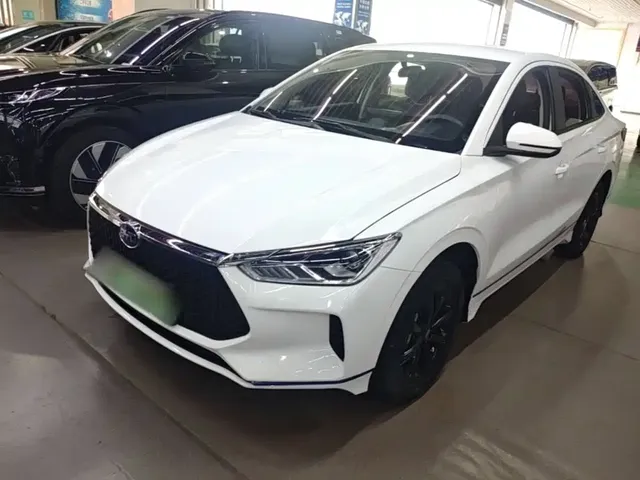 BYD e3 2021 Mobility Edition