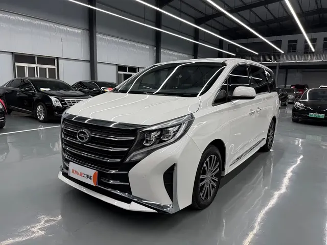 GAC Trumpchi M8 2021 Leading Show Series 390T Premium Edition