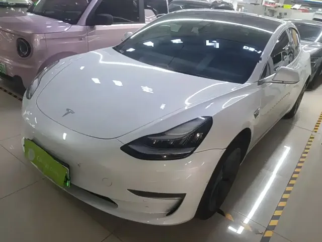 Tesla Model 3 (Import) 2019 Long Range RWD Version