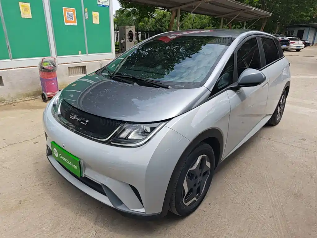 BYD Dolphin 2021 Model 405km Fashion Edition