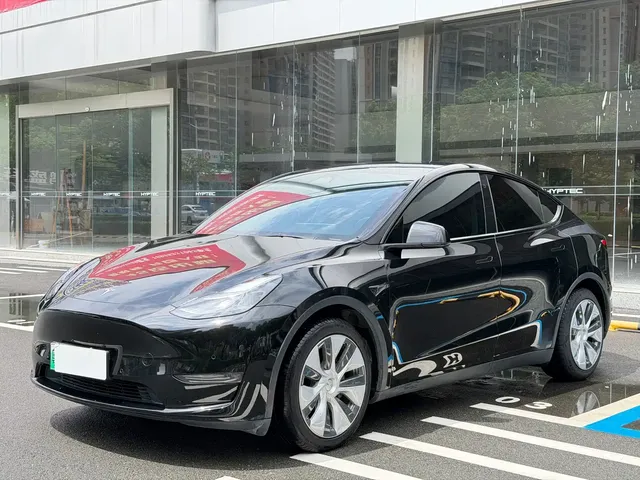 Tesla Model Y 2021 Standard Range Rear-Wheel Drive