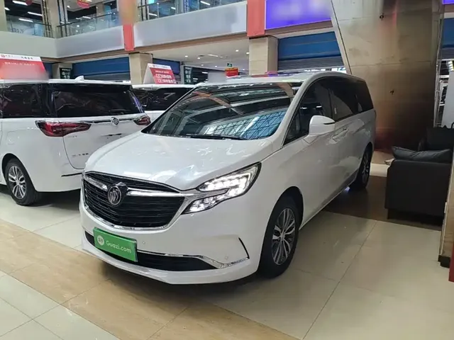 Buick GL8 2022 ES Landmark 653T Premium