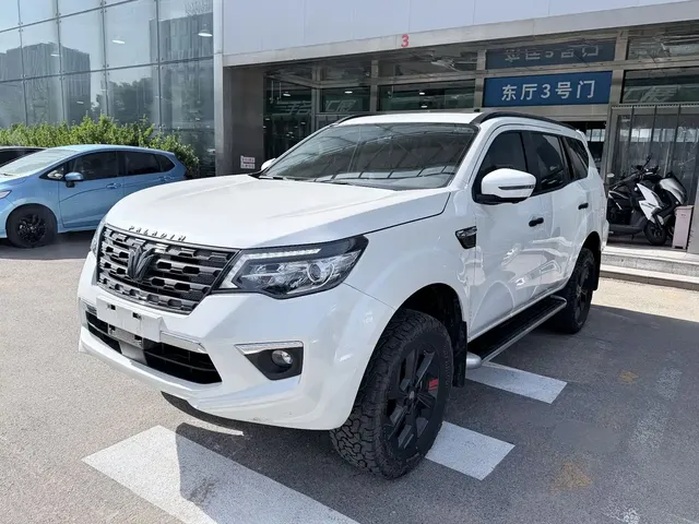 Dongfeng Fengdu Paladin 2023 Model 2.0T 4WD Premium Edition