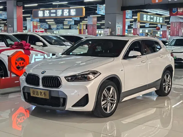 BMW X2 2020 sDrive25i Leading M Off-Road Package